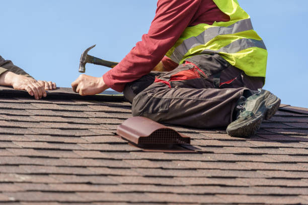Best Roof Waterproofing Services  in Deltana, AK