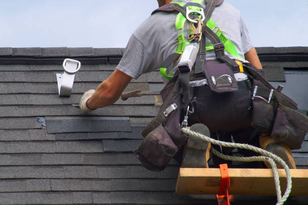 Best Roof Leak Repair  in Deltana, AK