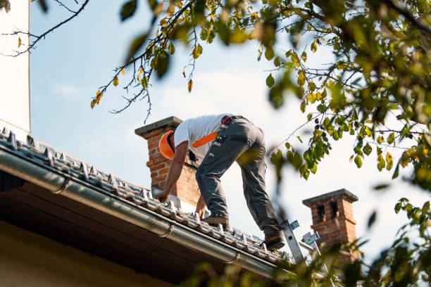 Best Roof Maintenance Services  in Deltana, AK