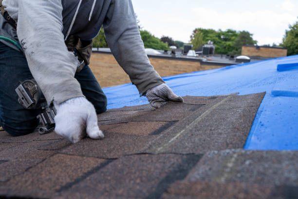 Best Roof Restoration Services  in Deltana, AK