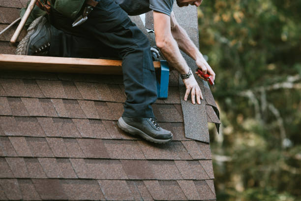 Roof Gutter Cleaning in Deltana, AK