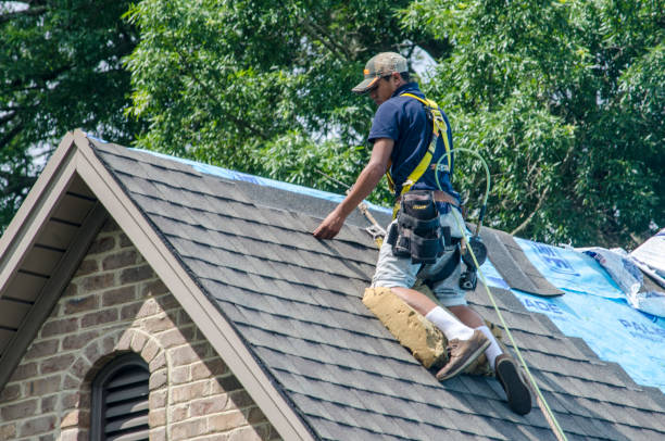 Trusted Deltana, AK Roofing Contractor Experts