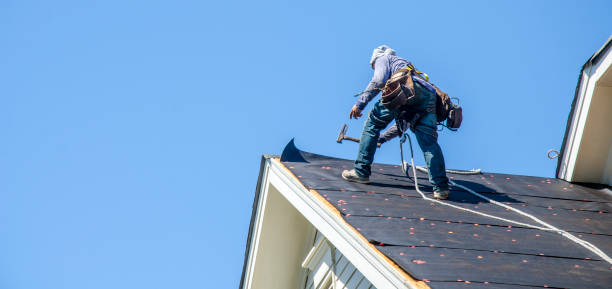 Roof Waterproofing Services in Deltana, AK